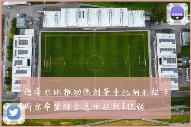 德泽尔比推动热刺争夺托纳利纽卡斯尔希望转会总价达到1亿镑